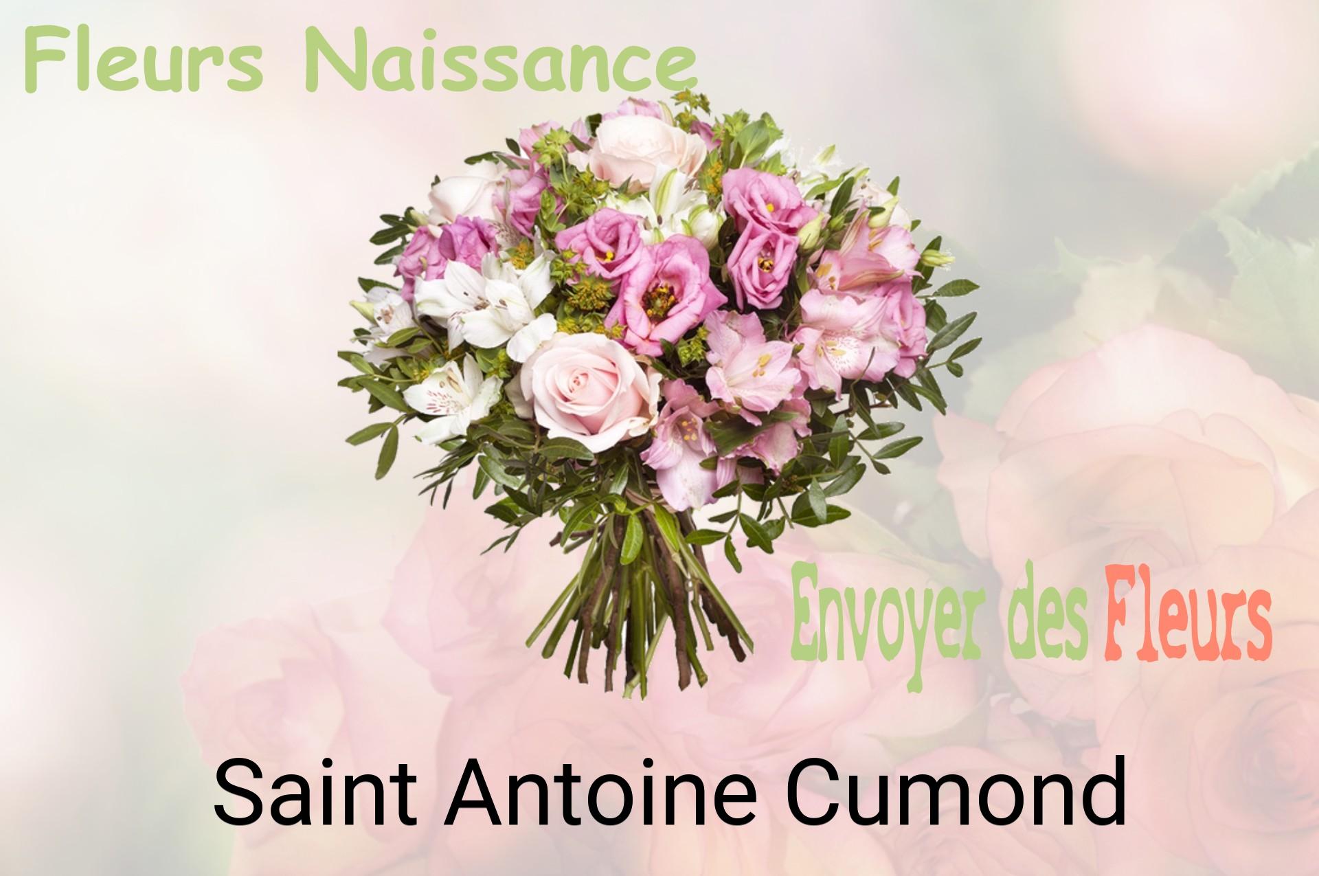 Bouquet de fleurs de naissance livré à Saint-Antoine-Cumond