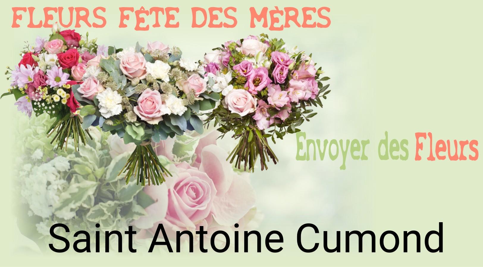 Bouquet de Fête des Mères livré à Saint-Antoine-Cumond